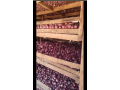 red-onions-small-3