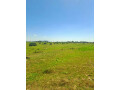 juja-creek-50-by-100-plots-for-sale-juja-small-1