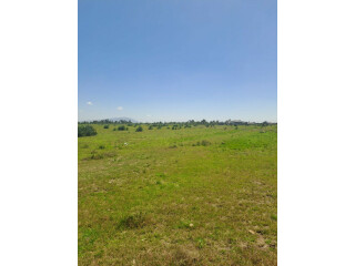 JUJA CREEK - 50 by 100 plots for sale - JUJA