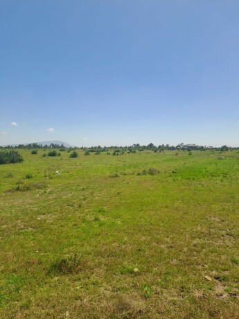 juja-creek-50-by-100-plots-for-sale-juja-big-0