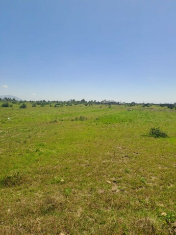 juja-creek-50-by-100-plots-for-sale-juja-big-2