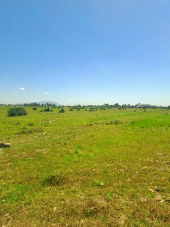 juja-creek-50-by-100-plots-for-sale-juja-big-1