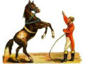 horse-trainer-small-1